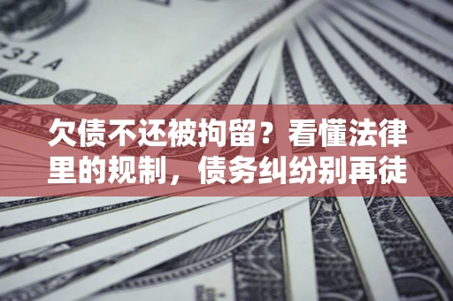 北京欠债不还被拘留？看懂法律里的规制，债务纠纷别再徒劳奔波